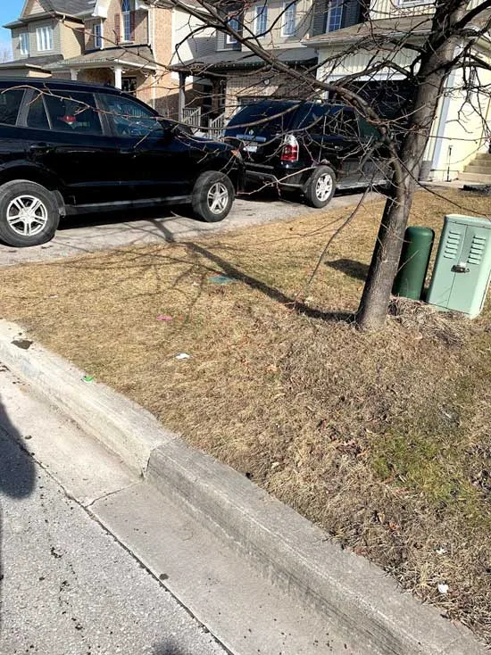 Same driveway edge and curb with everything picked up