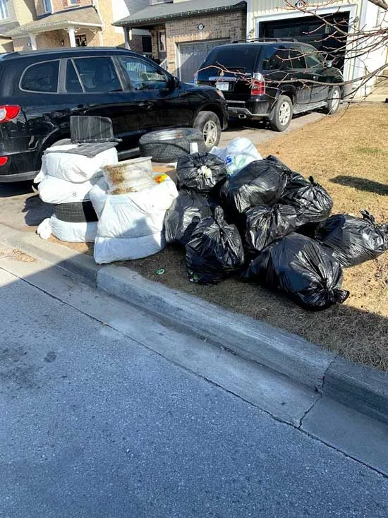 Garbage bags and boxes piled at the end of a driveway by the curb