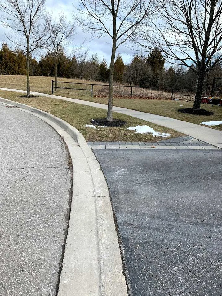 Same stretch of curb with all the bags picked up