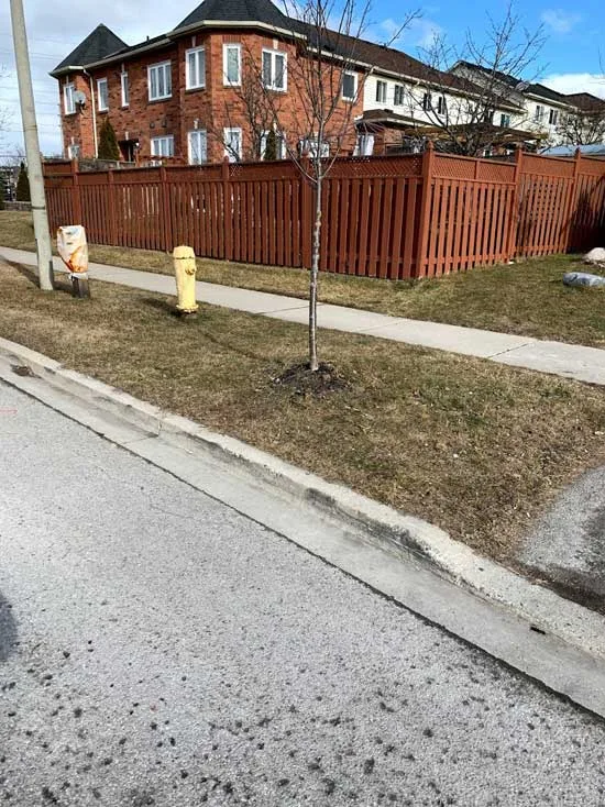 Same curb with the bags and TV gone