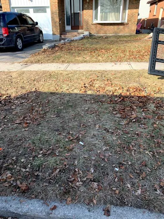 Same lawn by the curb with the furniture removed